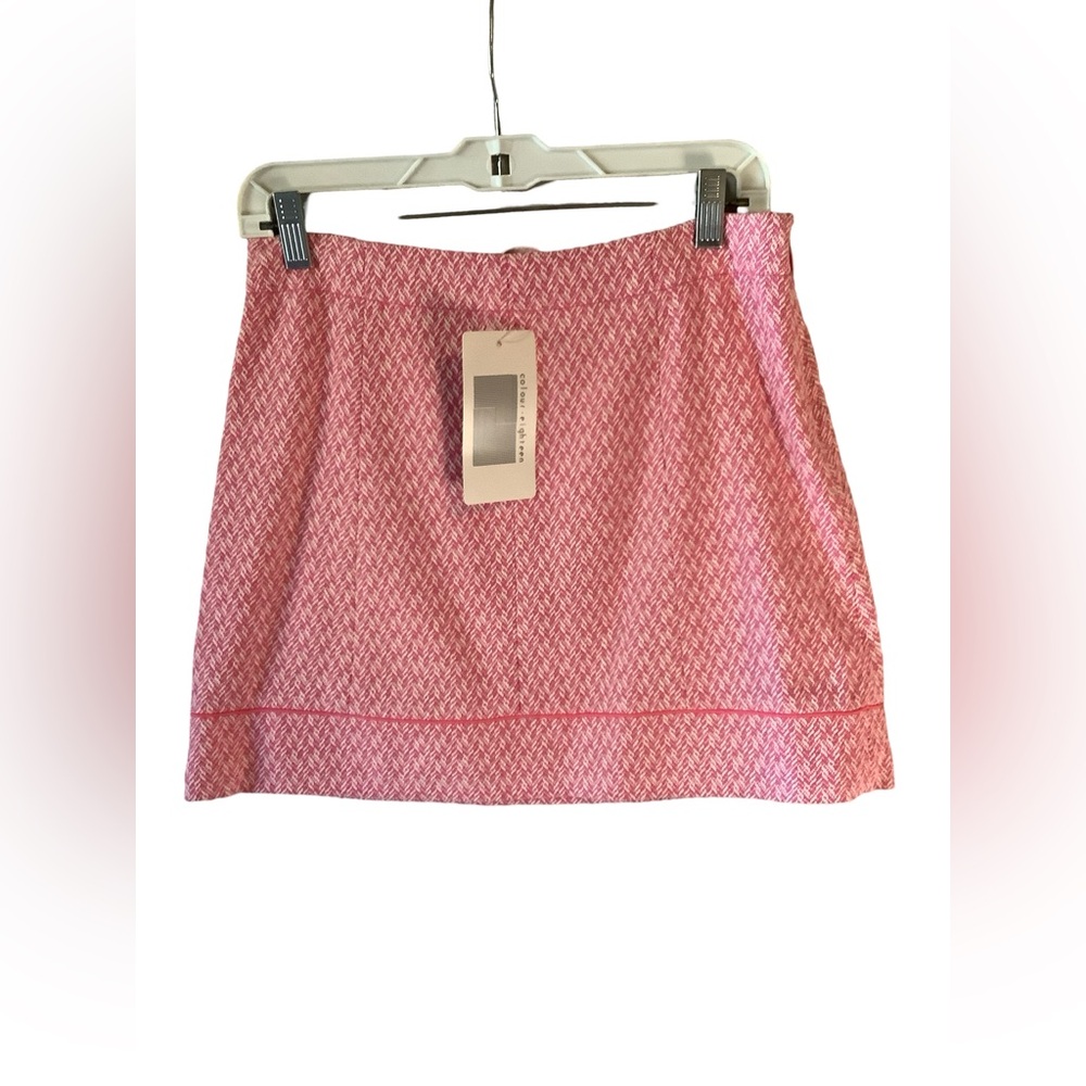 NWT Colour Eighteen Skirt